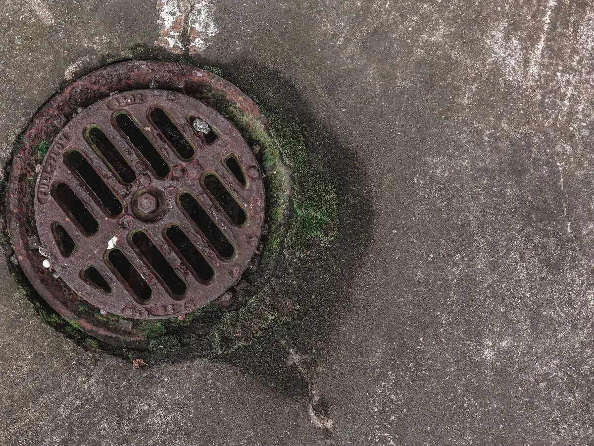 Rusty cast metal floor drain grate ringed with moss in a concrete slab, Huntington Beach, CA Rusty cast metal floor drain grate ringed with moss in a concrete slab, Huntington Beach, CA